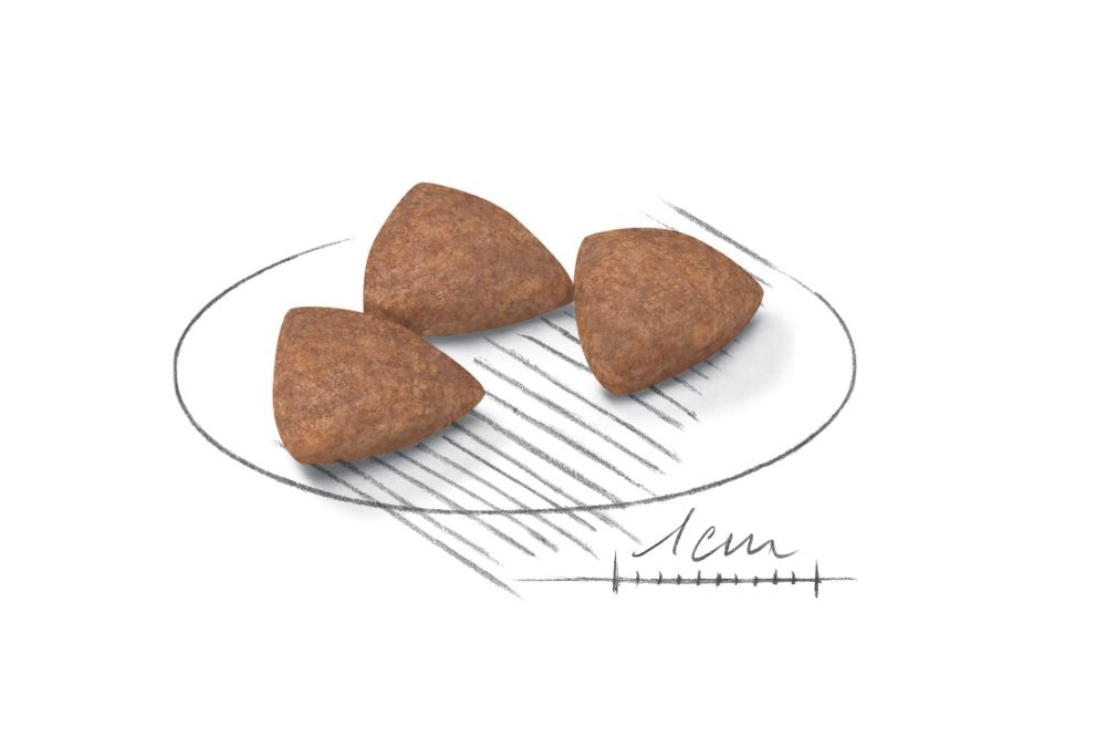  Kibble Mini Indoor Adult