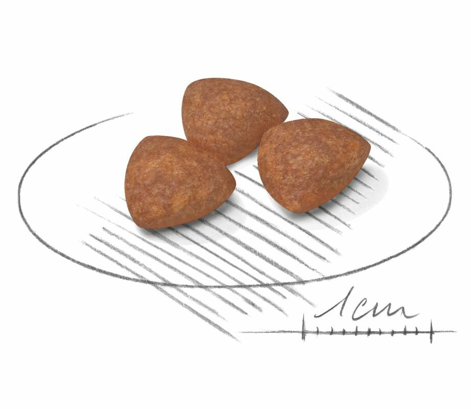 Kibble Mini Indoor Puppy