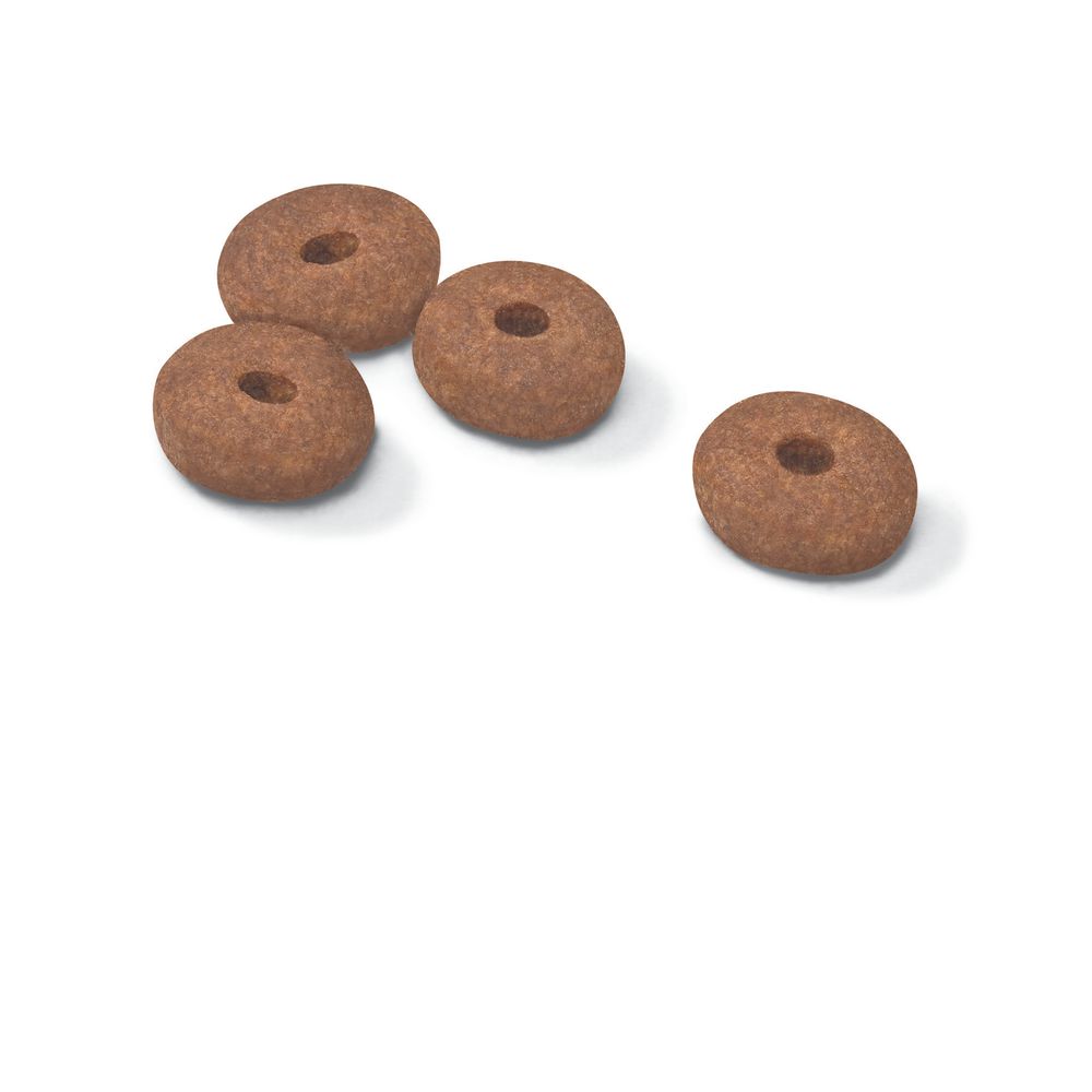 Kibble Mini Light Care