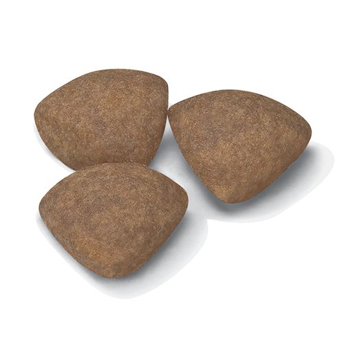 Kibble Mini Puppy