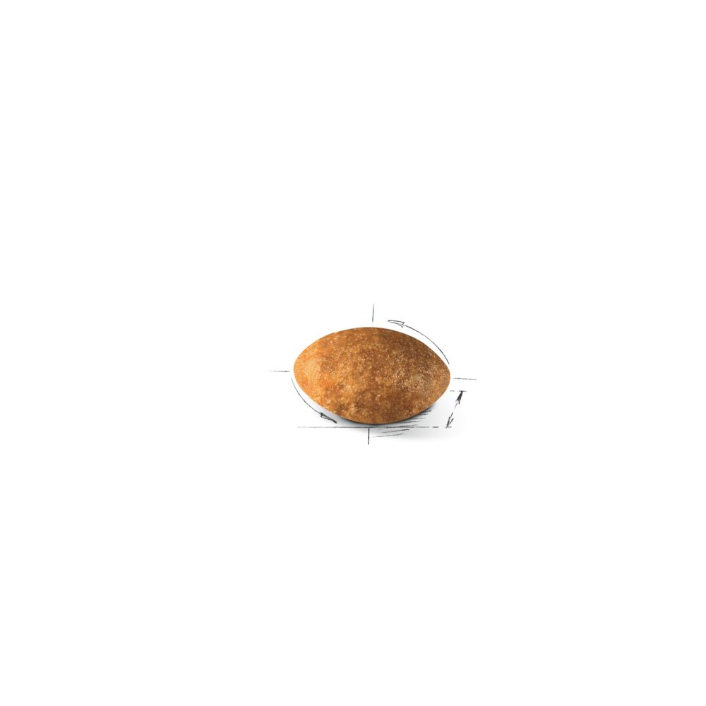 Kibble Persian