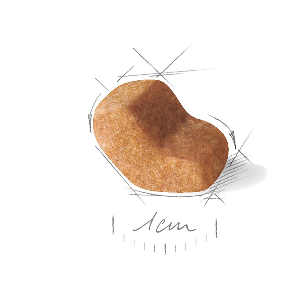 Kibble Shih Tzu Adult