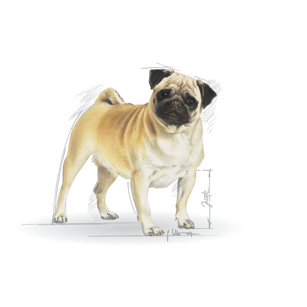 Dog Health Product Book