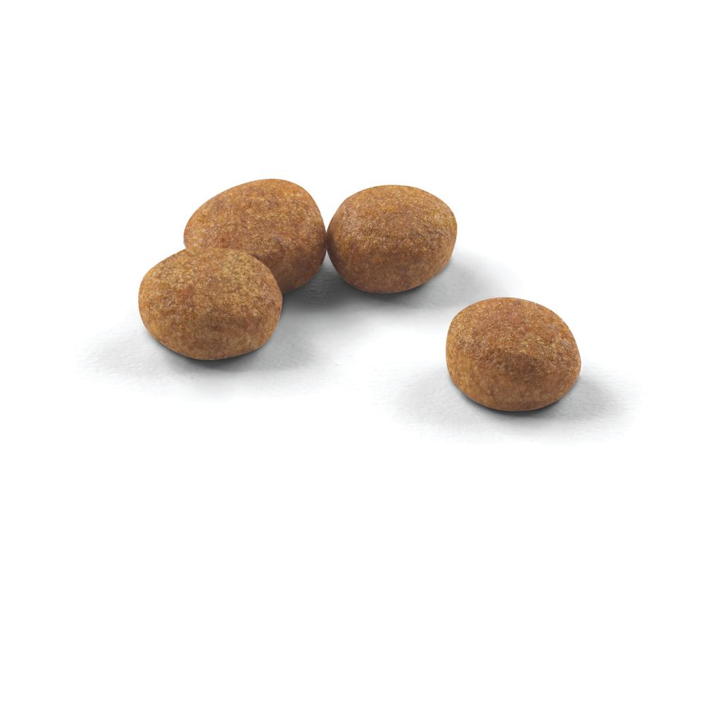 Kibble Sterilised Cat