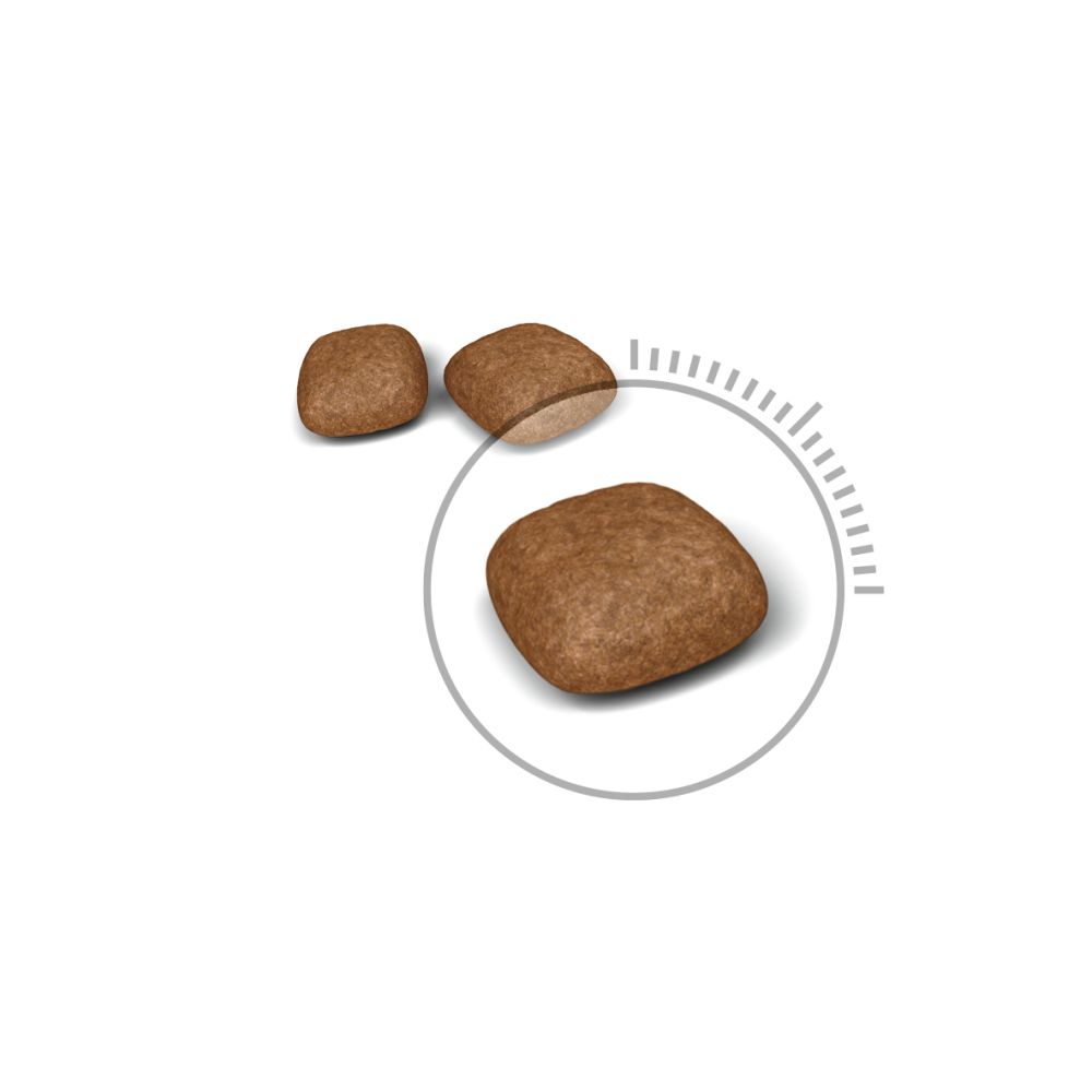 Kibble Urinary Care Cat