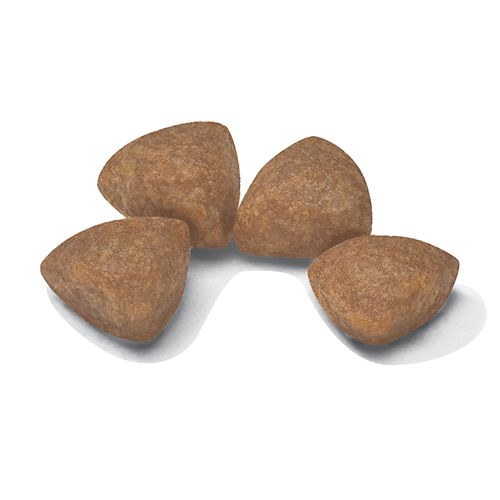 Kibble X-Small Puppy