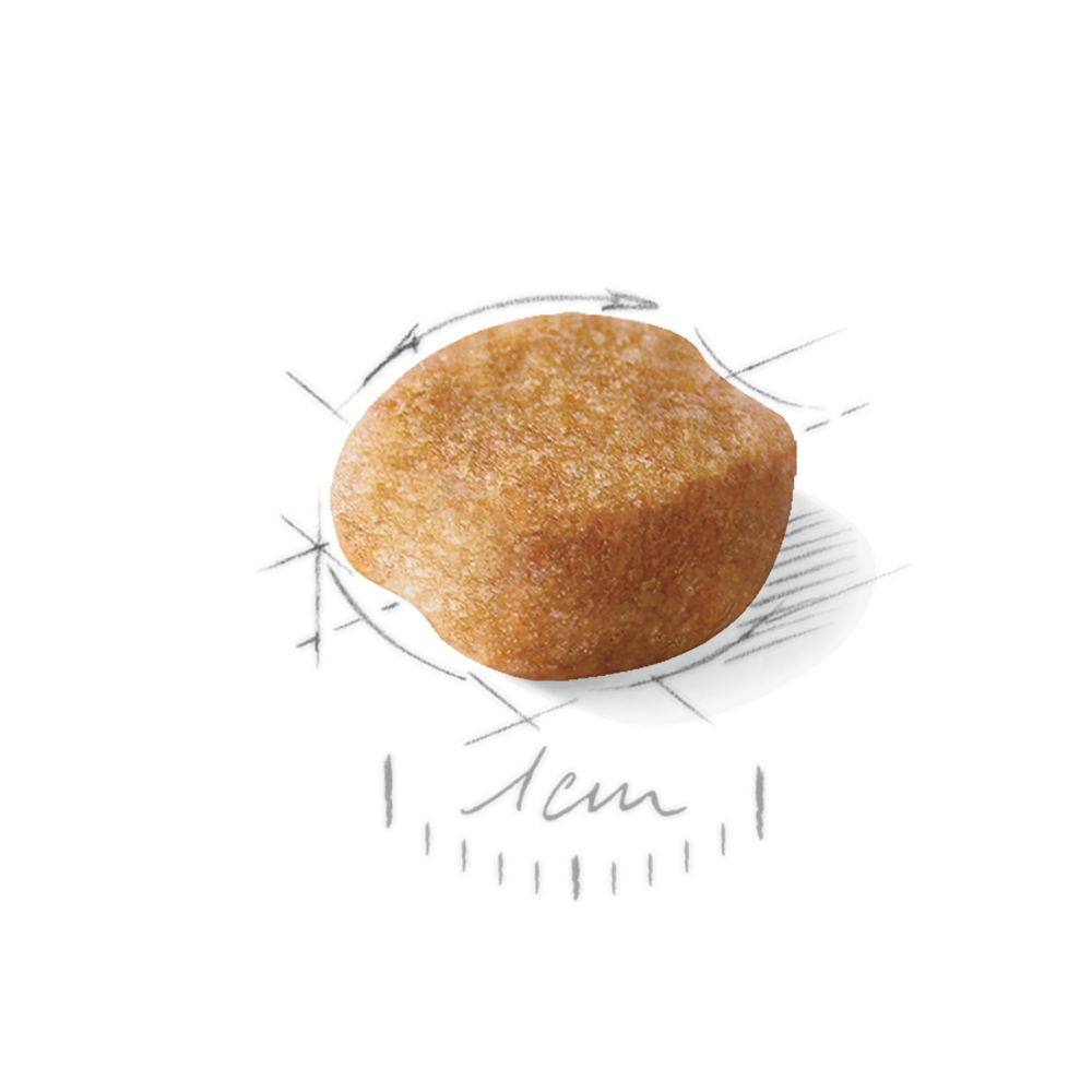 Kibble Yorkshire Adult