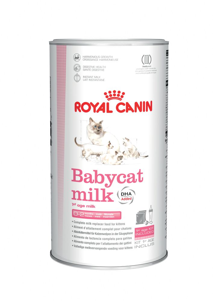 FHN Baby Cat Milk