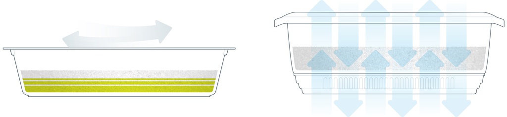 Comparative ilustration