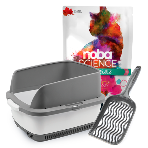 Noba Grey Cateco Kit + Noba