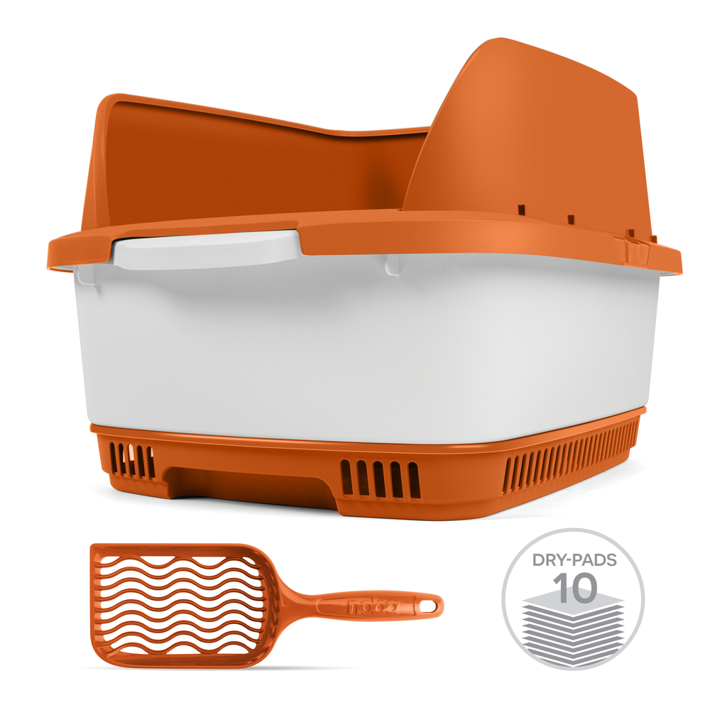 Orange Cateco Noba + Scoop