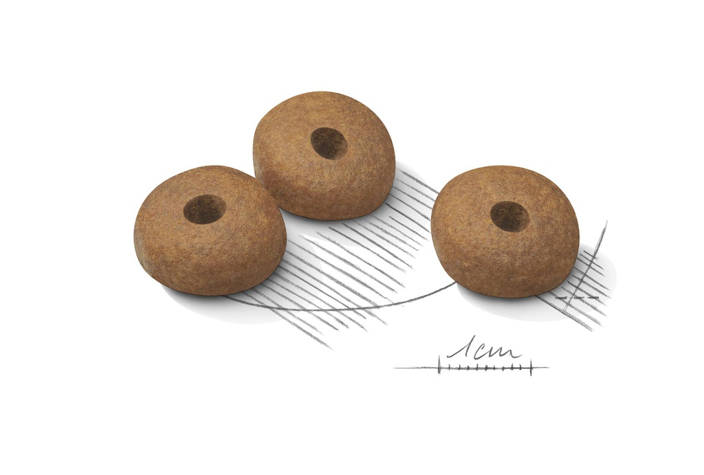 Kibble Medium Light Care