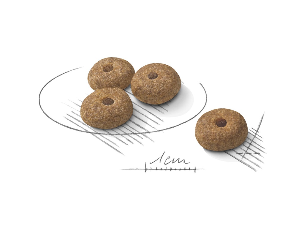 Kibble Mini Sterilised