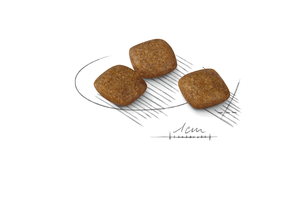 Kibble Mini Relax