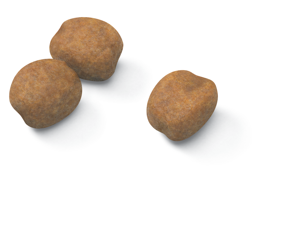 Kibble Medium Puppy