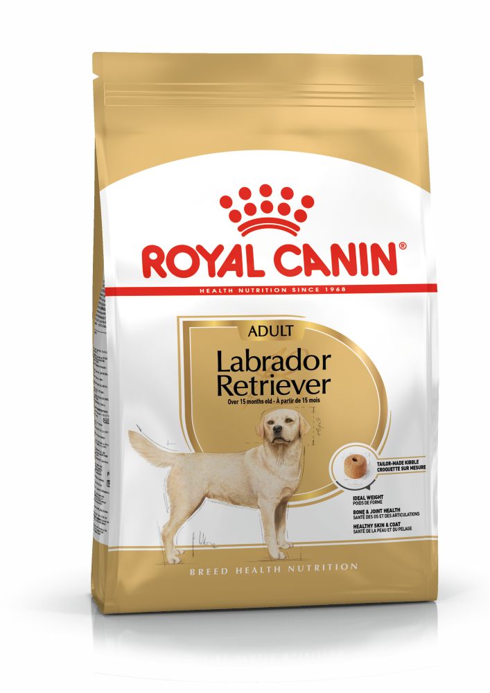 BHN Labrador