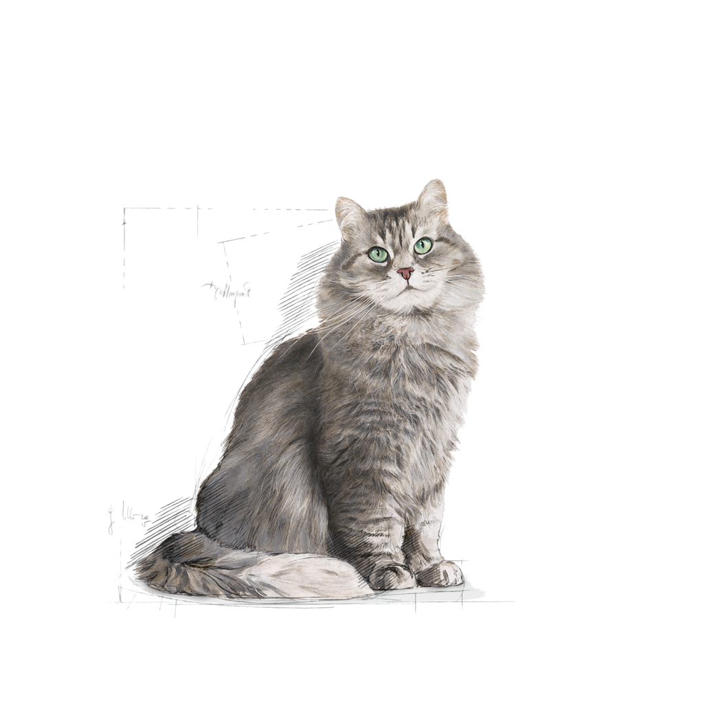 Sensible Cat