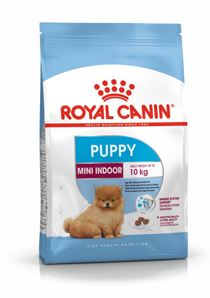 SHN Mini Indoor Puppy