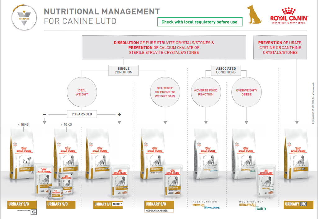 VHN Dog decision tree