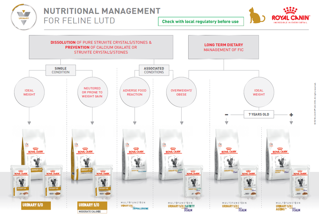 VHN Cat decision tree