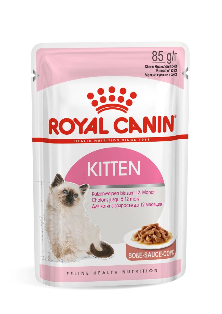 FHN Kitten Wet 